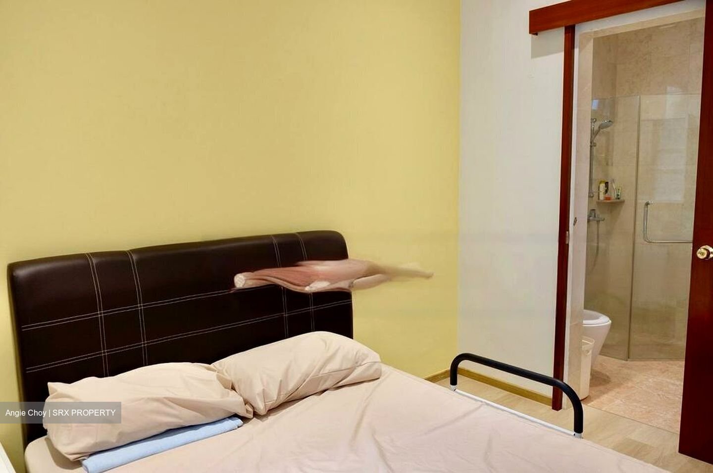 Beng Wan Road (D12), Detached #456877771